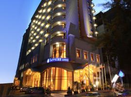 Sapphire Addis, hotel in Addis Ababa