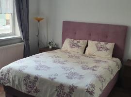 D&Y Apartments, apartment in Piatra Neamţ