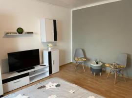 Gray Apartment for couples: Temeşvar şehrinde bir kendin pişir kendin ye tesisi