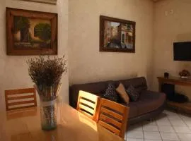 "Departamento VIOLETAS"