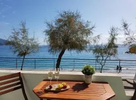 Mori's Beautiful Sea front Apartment - With A.C.