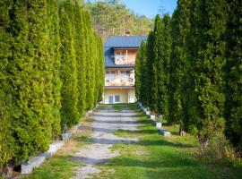 Гостинна садиба Пілігрім, serviced apartment in Surzhentsy