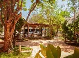 M a r e a V i v a - O a x a c a