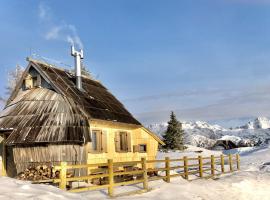 Chalet Velika Planina-I FEEL ALPS，Stahovica的度假屋