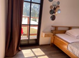 Pensiunea Bradet - Padis