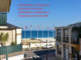 Les studios vue mer Le Matlo, מלון בדינאר