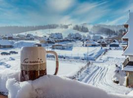 Pensjonat pod Kotelnicą, отель в городе Бялка-Татшаньска