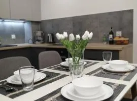 FilMar Apartament przy Parku