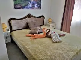 Apartmani Soko Day 1