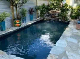 St Petersburg Vacation Rentals