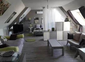 Logement indépendant avec piscine couverte