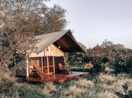 Honeyguide Tented Safari Camp - Khoka Moya