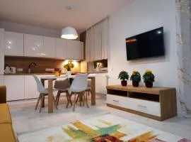 Apartament Amber Comfort z prywatnym miejscem parkingowym