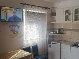 Apartman Tomas
