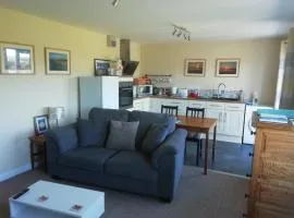 The Studio