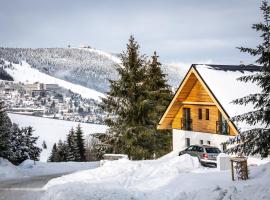 Ski Chalet Klínovec, chata v Loučné pod Klínovcem