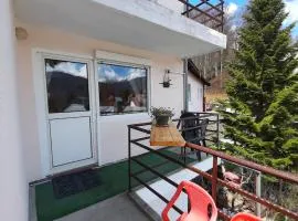 Apartamente Casa Cristina in Pensiune la 400m de Pârtia de ski