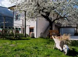 B&B La Fosina