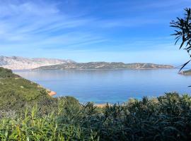 SAN TEODORO PUNTA EST GIARDINO VISTA MARe，卡珀科達卡瓦洛的公寓