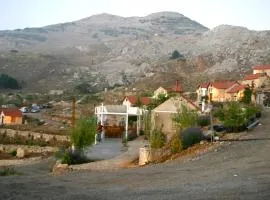 Soha Village Resort