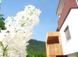 B&B Casa sul Lago - Appartamenti, ξενοδοχείο σε Calceranica al Lago