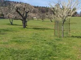 La maison dans les prés