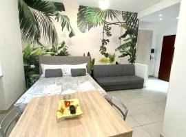 LE PALME Loft Apartment