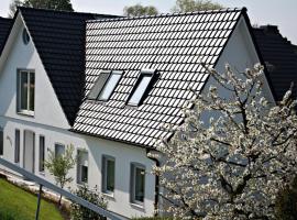 Fewo Elbblick im Haus Lühegarten, hotel con parking en Grünendeich