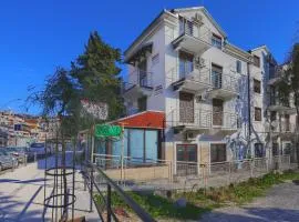 Apartmani Viki