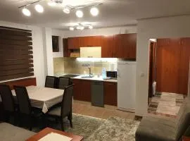 Apartman B3 u vili Suri