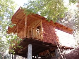 Caba&ntilde;a en el Bosque de San Jos&eacute; del Pacifico 2, glamping em El Pac&iacute;fico