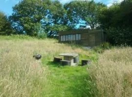 Stags View,Unique eco cabin, Dartmoor views