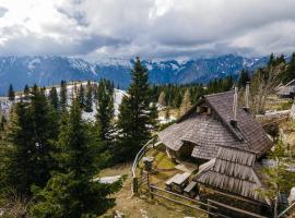 Alpine Chalet Velika Planina - Irenca - I Feel Alps, hotel perto de Nihalka Velika Planina, Stahovica