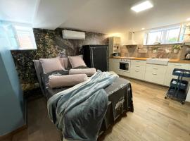 Studio apartman Pod Room, accommodation in Zadar