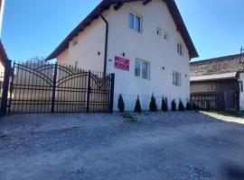 Casa Arabela, accessible hotel in Vişeu de Sus