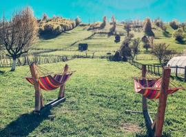 Cabanute Luca Ama Bran, lodge in Braşov