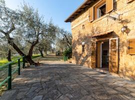 Casetta Maduneta immersa in un oliveto, hotel di Dolceacqua