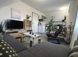 Ferienwohnung Elsa