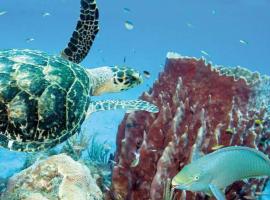 KAZADIDOU - R&eacute;sidence Grand Cap - Vue Mer et Montagne - Piscine
