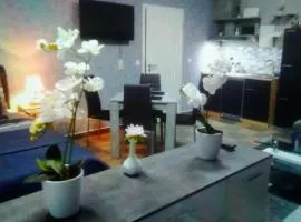 Orchideen Zimmer