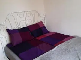 Kawalerka za Świeciem