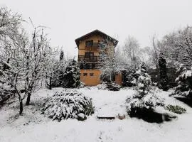 Casa Bunicii Comarnic