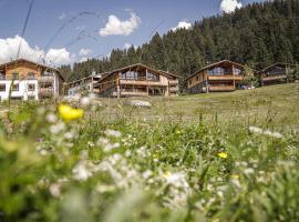 PRIVÀ Alpine Lodge, resort en Lenzerheide