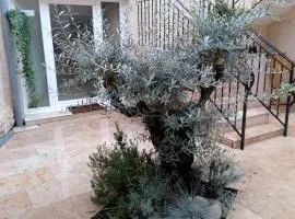 Appartement PERIGUEUX Garage attenant Fibre Climatisation