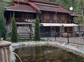 Cabana FARIO Rau Mare - Retezat