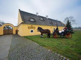 Dvůr Olšiny -Hotel and Horse-riding, hotel in Karviná