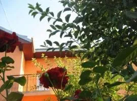 Lary Hostel