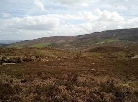 Cottage Roscrea County Tipperary, hotel in Roscrea