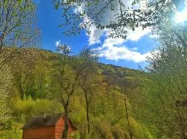 Еко Садиба Під Полониною