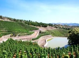 La Gelsomina - Etna